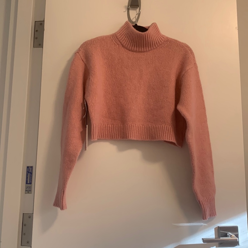 Aritzia Sunday Best Scottie Turtleneck 2XS in Mauve Mousse Pink